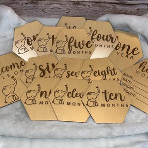 Elephant baby milestone markers