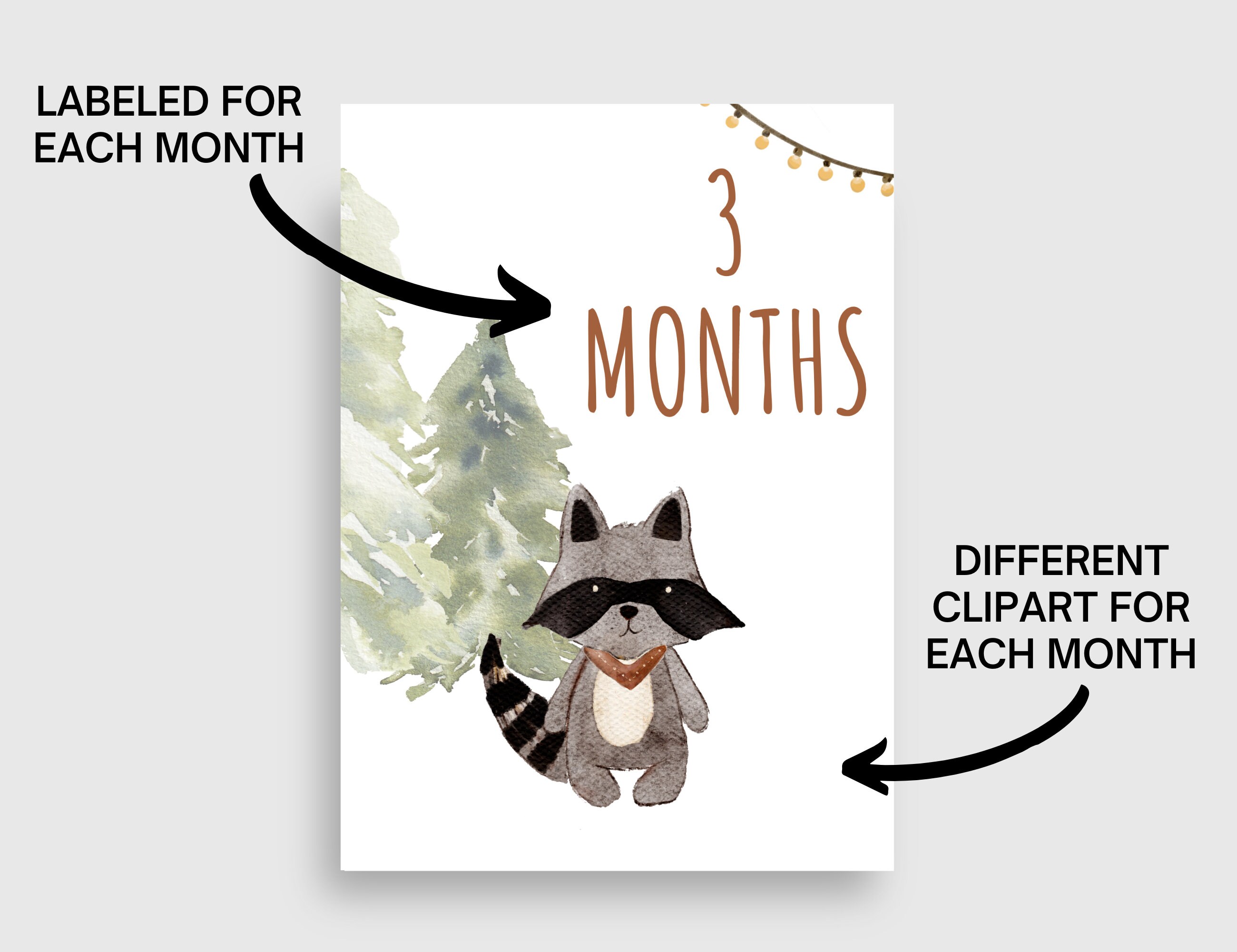 Camping Woodland Animals Baby Monthly Milestone Digital Printable Cards ...