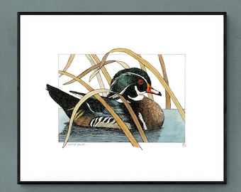 Wood Duck Illustration · Bird Hunter Art · Duck Wall Art · Waterfowl Art Poster · Mallard Print · Watercolor Duck Drawing · Farmhouse Decor