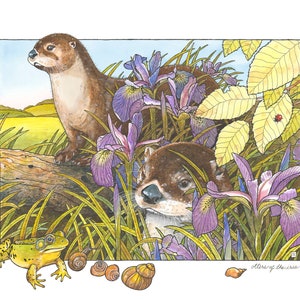 May include: Two brown otters peeking out from behind purple iris flowers. A green frog and several snail shells are in the foreground. The text "otters of the iris" is in the bottom right corner.