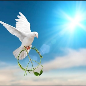 Puede incluir: Una paloma blanca en vuelo, llevando un símbolo de la paz hecho de vides y hojas verdes. El ave se encuentra sobre un cielo azul brillante con el sol brillando. La imagen evoca temas de paz y esperanza.