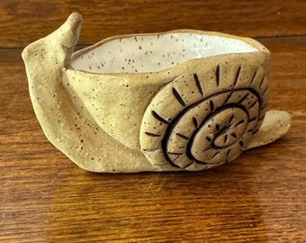 Snail succulent pot, planter.  Handmade, hand glazed ceramic.