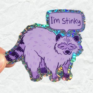 Ich bin Stinky Waschbär Aufkleber, 3in1, Waschbär Aufkleber, lustiger Waschbär Aufkleber, Waschbär Liebhaber Geschenk, Trash Panda Aufkleber, Geschenk für Waschbär
