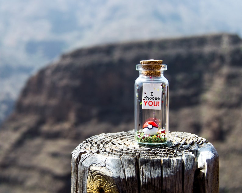 May include: A small glass jar with a cork lid filled with glitter and a small red and white Pokeball. The jar has a white paper note attached to it that says "I choose YOU!"