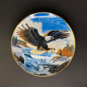 Franklin Mint Decorative Plate by Ronald Van Ruyskevett &quot;Forever Free&quot;