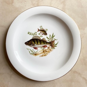 Vintage Wunsiedel Bavaria Porzellan Fisch Motiv Teller