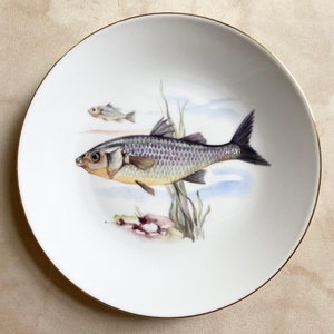 Vintage Fish Theme Plate Made in West Germany for Neiman-Marcus