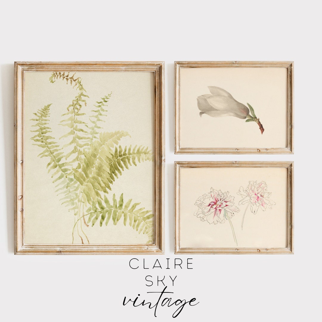 Vintage Botanical Wall Art Set of 3 | Printable Vintage Art ...