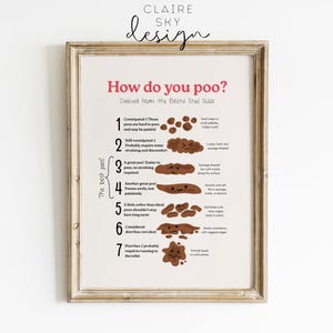 May include: Framed print with the text "How do you poo?" and a diagram of the Bristol Stool Scale. The print is in a light-colored wooden frame and features illustrations of different stool types. The text is in pink and black.
