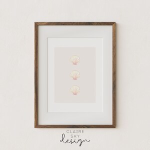 May include: A framed print with three pink and yellow seashells in a vertical line on a light pink background. The frame is brown wood. The text at the bottom of the print reads 'CLAIRE SKY design'.