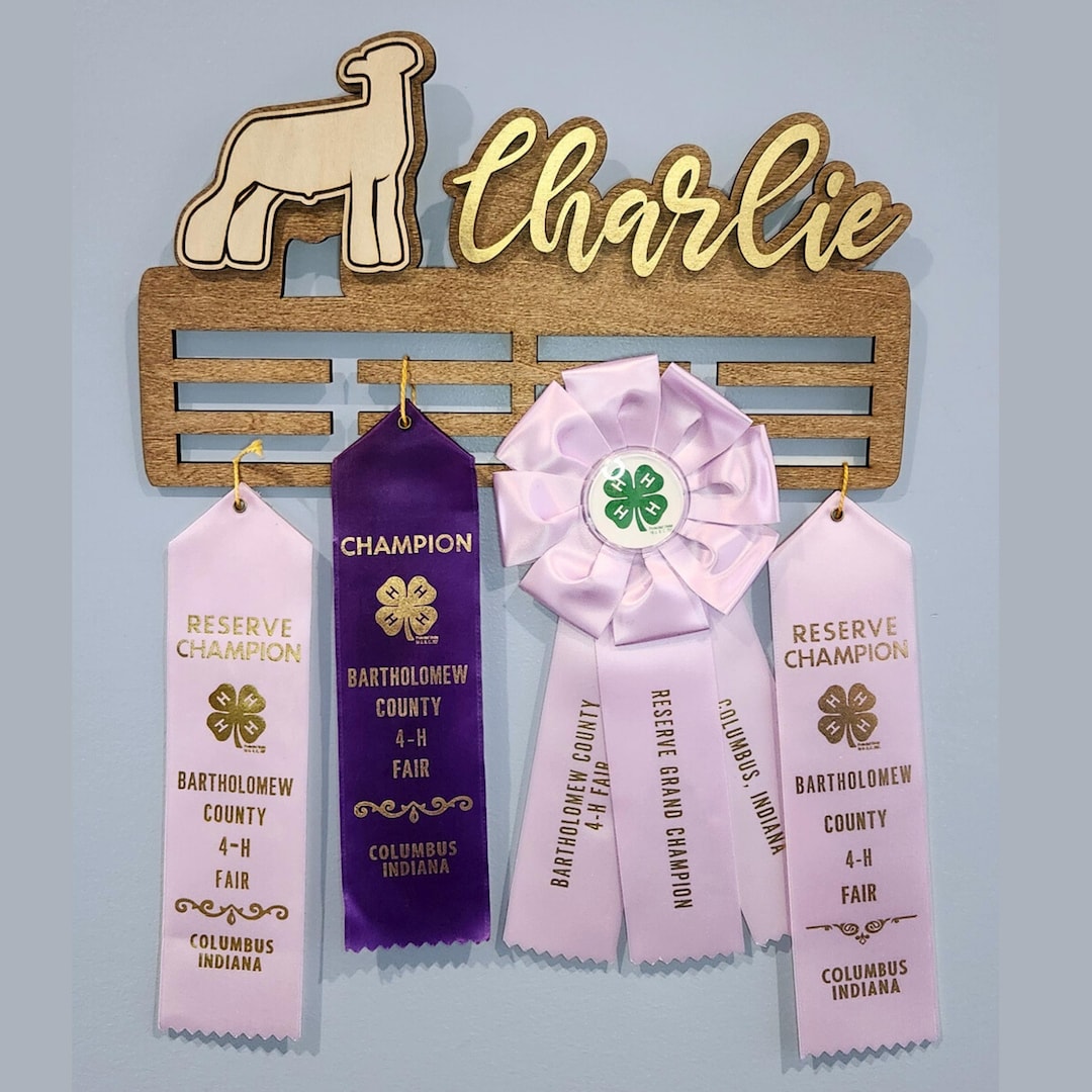 Personalized Sheep 4-H Ribbon Display- Livestock Projects - Etsy