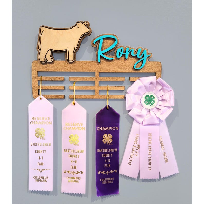 Personalized Cattle 4-H Ribbon Display- Livestock Projects - Etsy