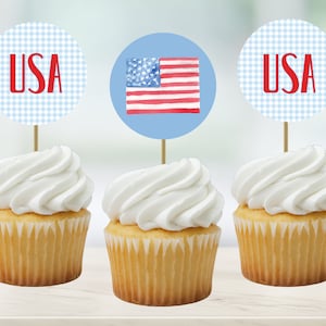 Patriotic theme cupcake toppers, USA party, red white and blue decorations, American flag pick