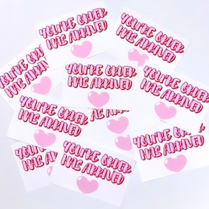 Your Order Has Arrived Pink Business Sticker Set of 10