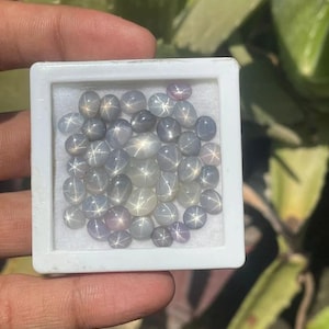 Natural Blue Star Sapphire Cabochons: 1.00 Carat Average, Sri Lanka