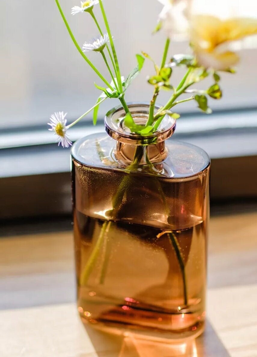 Minimalist Glass Bud Vases Brown Glass Vase Home Decor Mini Etsy