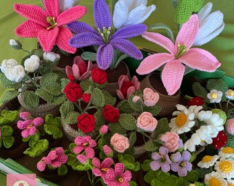 Handmade Crochet Various Types Flower Pot, Valentine's, Birthday Present, Anniversary, Mother's Day, Gift for Her