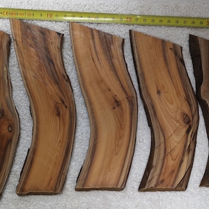 Sliced Yew Branch