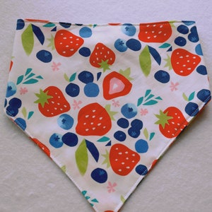 Fruit Snack