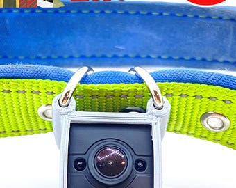 Cámara para collar de mascotas: Vídeo HD 1080P, Visión nocturna, Tarjeta TF de 16 GB