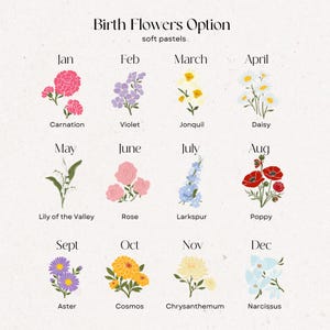 May include: A pastel-colored chart titled "Birth Flowers Option" displays floral illustrations for each month. Each month is labeled with the month and a corresponding flower, such as Carnation for January and Poppy for August.