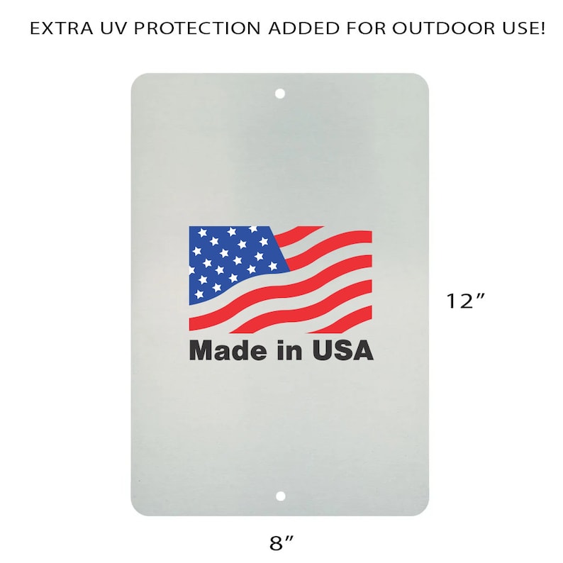 And Into the Pool I Go to Lose My Mind Metal Aluminum Tin Sign Vintage