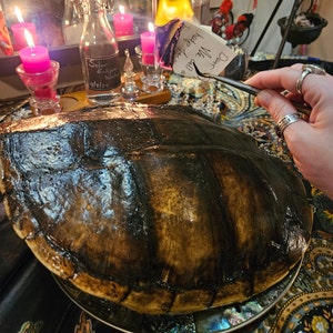 Può includere: Primo piano di un guscio di tartaruga marrone scuro con un pezzo di carta che brucia sopra. La carta ha le parole "Caro Will, Ti aiuteremo tutti" scritte su di essa. Sullo sfondo ci sono candele e una bottiglia di liquido.