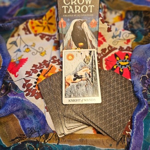 Crow Tarot Reading