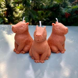 Cute Capybara Candle | Friendship Candle