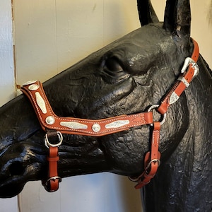 May include: A brown leather horse halter with silver accents. The halter has a decorative design with a silver buckle and a silver noseband.