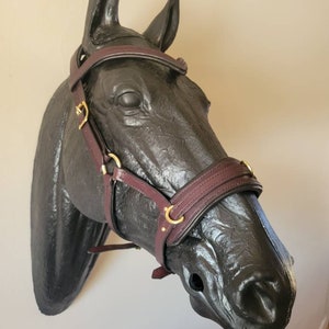 Pattern: Leather Cavesson/Cavemore for Lunging & Riding - PDF download printable templates, measurements, and instructions