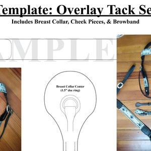 Template: Overlay Leather Tack Set