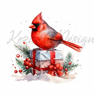Weihnachten Kardinal Vogel Clipart 15 Hochwertige JPGs, Frohe Weihnachten, Aquarell Weihnachtsvogel Clipart, Weihnachten Rot Kardinal Clipart