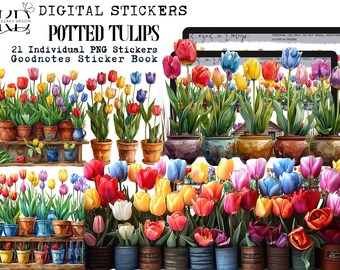 Adesivi digitali con tulipani in vaso, adesivi con bellissimi tulipani in vaso, biglietti d’auguri per tulipani in vaso, bellissimi adesivi in vaso, per uso commerciale