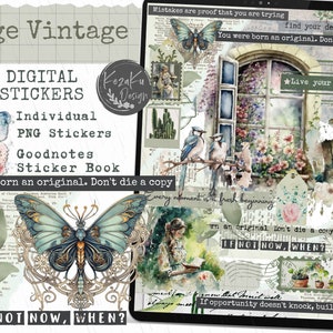 Vintage Digital Stickers, Green Sage Digital Stickers, Summer Digital Stickers, Goodnotes Digital Stickers, Vintage Stickers, Junk Stickers