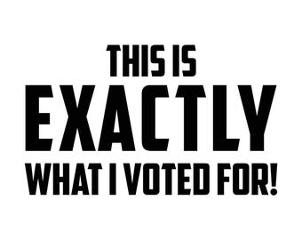 Exactly What I Voted for Decal