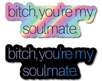 bitch, you're my soulmate. Decal euphoria