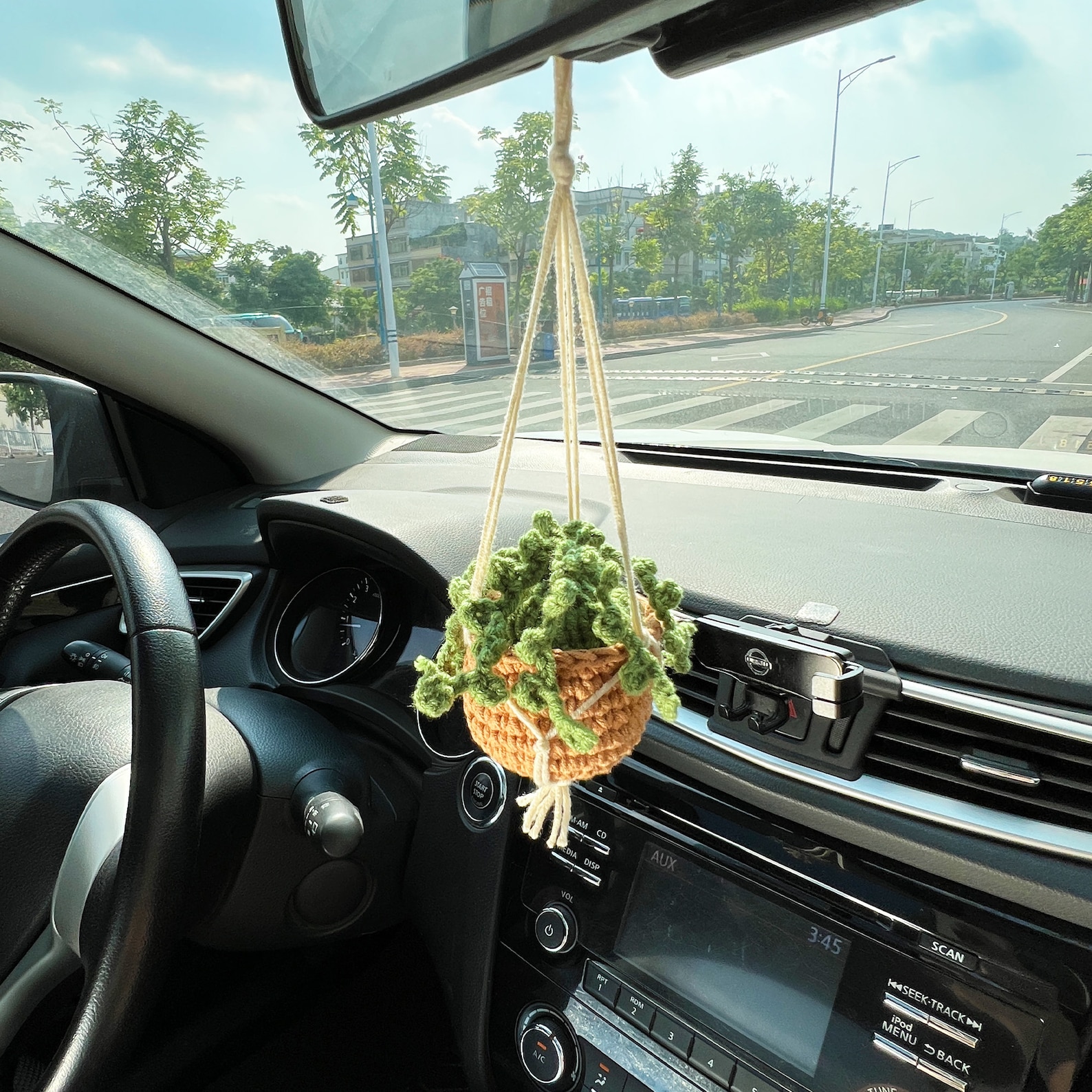 Car Plant Crochet Hanging Basket Hanging Plant for Car Etsy Australia