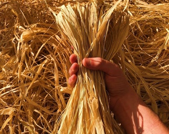 Natural Raffia Skein | Raffia Fiber For Crafting | Raffia For Crocheting | Macrame Raffia | Palm Tree Straw | Crafting Supplies