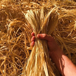Natural Raffia Skein | Raffia Fiber For Crafting | Raffia For Crocheting | Macrame Raffia | Palm Tree Straw | Crafting Supplies