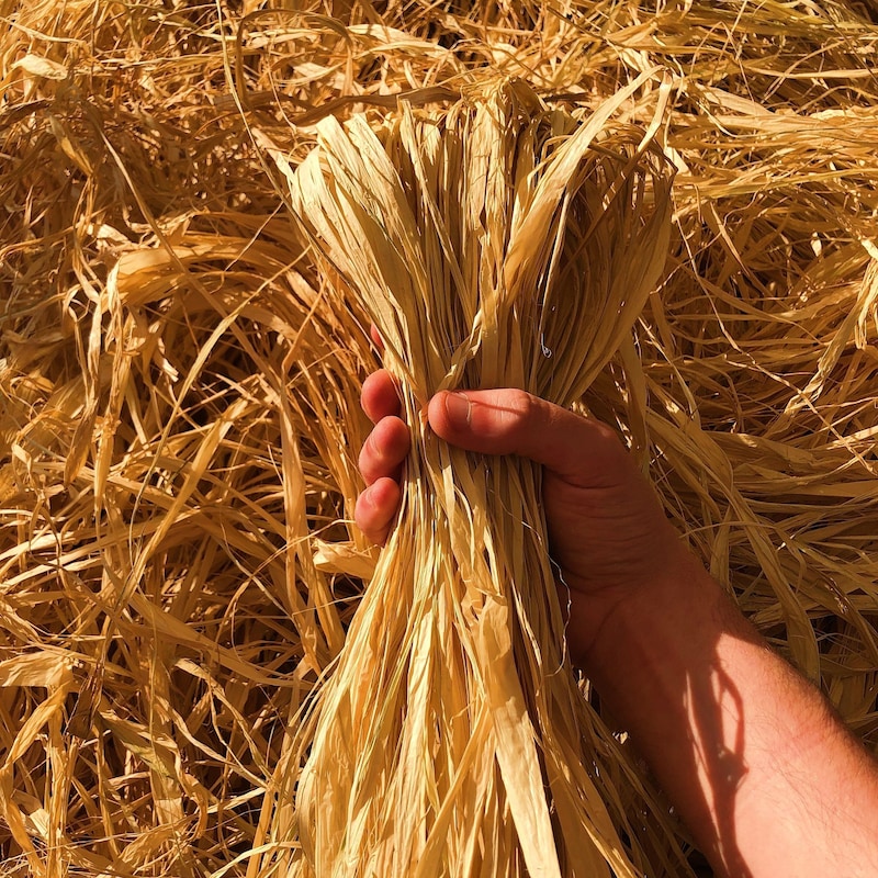 Natural Raffia - Etsy