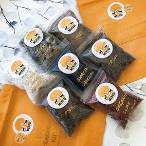 Terrarium Kit • DIY Terrarium Kit • Closed Terrarium Starter Kit Supplies • 1 Kg Activated Charcoal Terrarium Kit