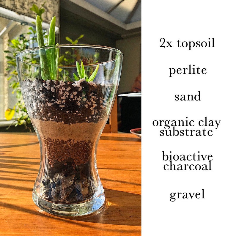 NEW DIY Terrarium Kit 500g Top Soil Organic Substrate Bio Charcoal