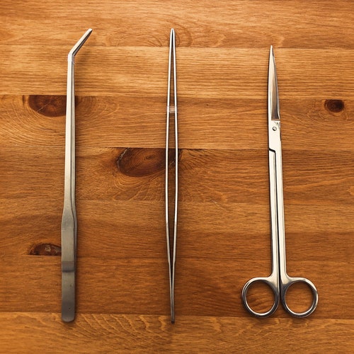 3-Piece Terrarium Tool Kit | 2x Tweezers | Scissors | Stainless Steel Terrarium Tools Aquarium Terrarium | DIY Terrarium Kit