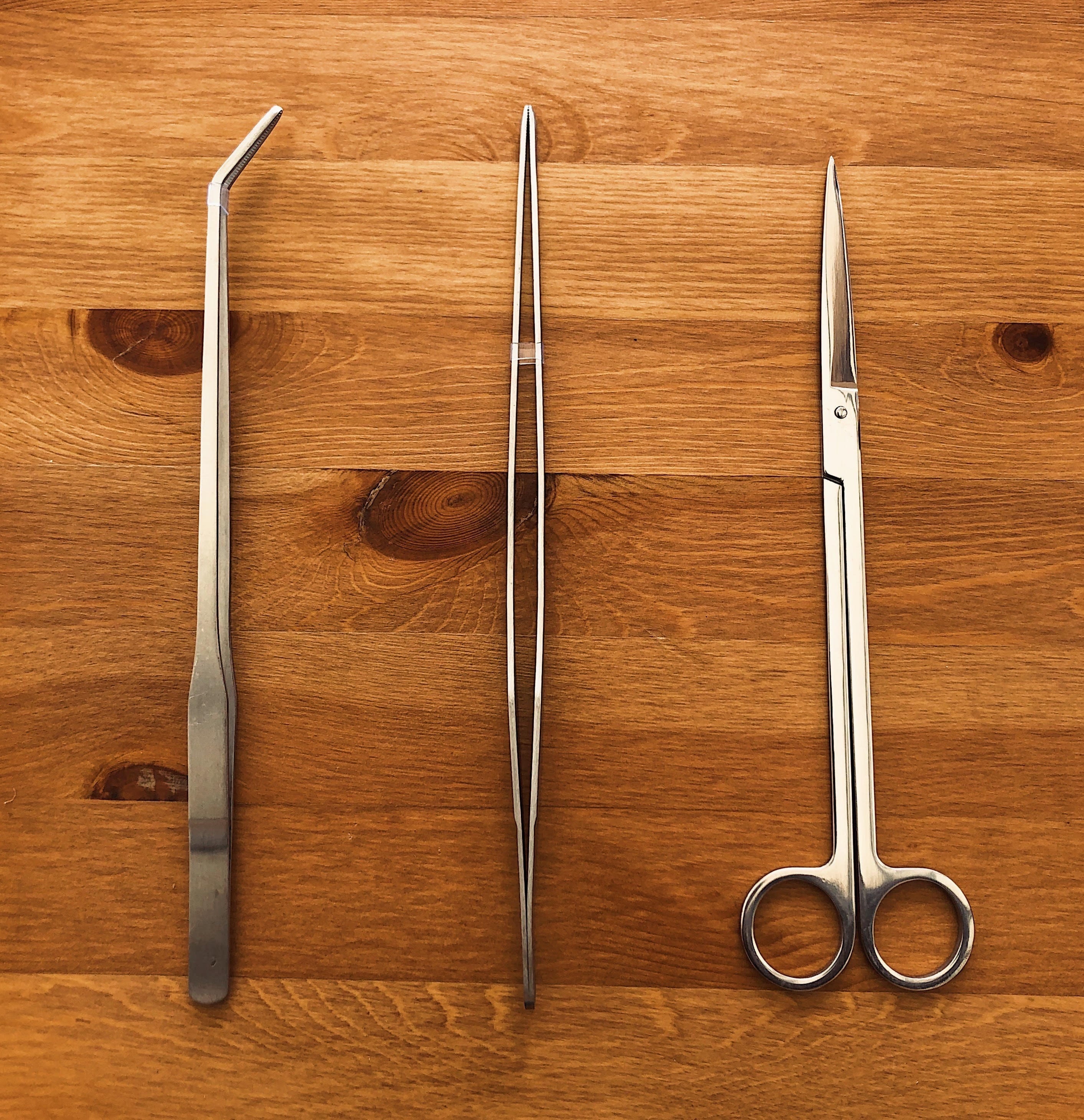 3-piece Terrarium Tool Kit | 2x Tweezers | Scissors | Stainless