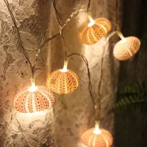 Handmade Pink Sea Urchin LED Light String | Natural Shell Light for Wedding | Beach Party Supplies