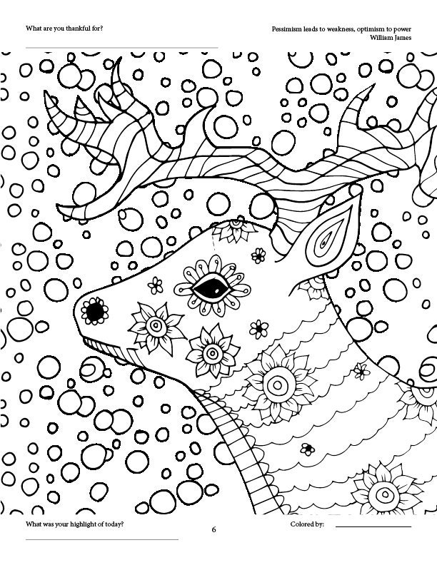 ONLY 1 LEFT in Stock Country Winter Coloring Book for Adults, Features 30  Coloring Pages, Printable PDF Coloring Pages 
