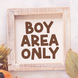 May include: A white wooden framed sign with the text "BOY AREA ONLY" in brown letters.
