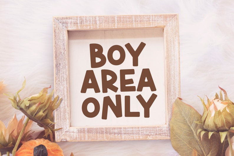 May include: A white wooden framed sign with the text "BOY AREA ONLY" in brown letters.