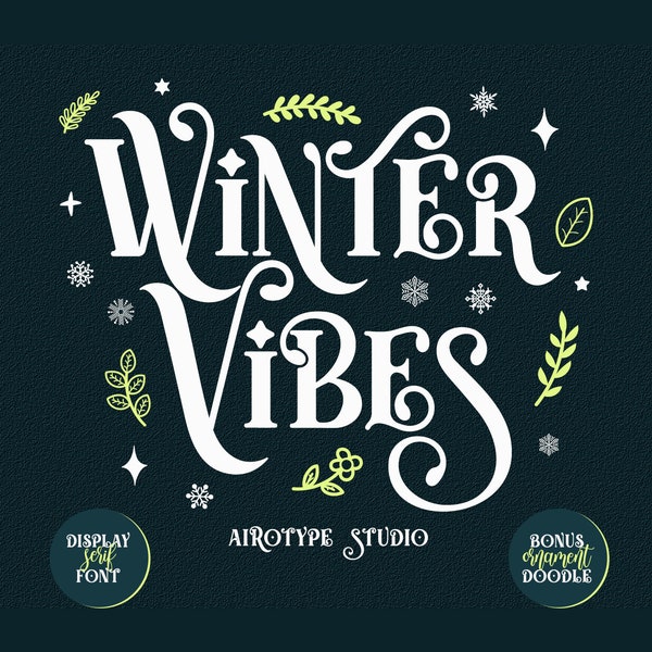 Winter Vibes Font, Serif Font, Modern Font, Winter Font, Boho Font, Vintage Font, Cricut Font, Christmas Font, Swash Serif, Snowflake Doodle